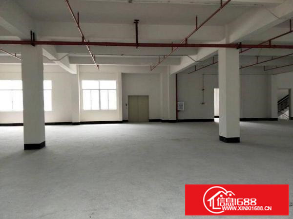 临深靠高速出口、原房东厂房无公摊、带消防喷淋