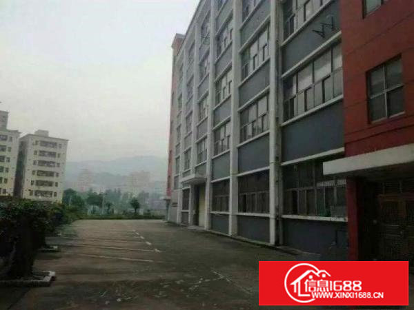 大浪工业园路新出原房东600平带精装修免转让费