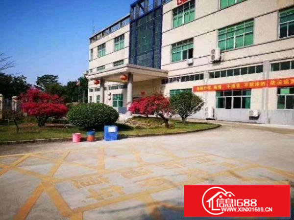 观光路原业主厂房16500平方出租