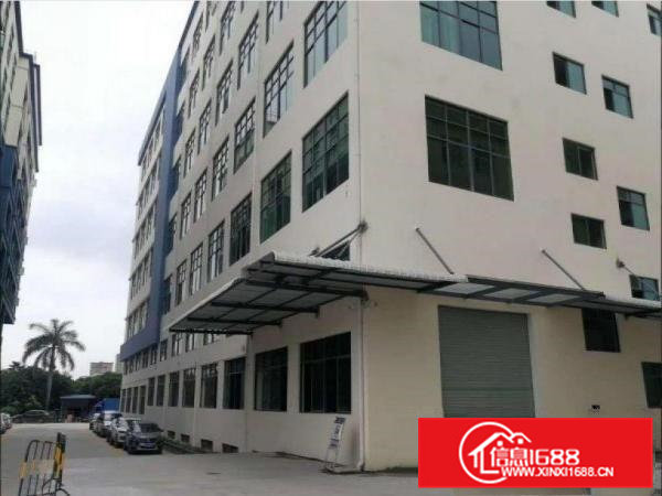 长巷新出标准一楼600平方厂房现成装修5米高