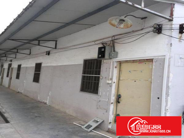 清溪小面积1楼435平可分租适合小加工手工行业，业主直招