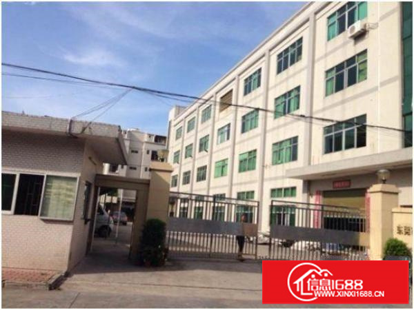 坂田亚洲工业园上240平米电商仓