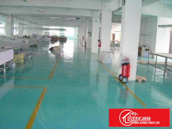 高埗环城路以外标准一楼1000平方招租水电齐全有现成办公室