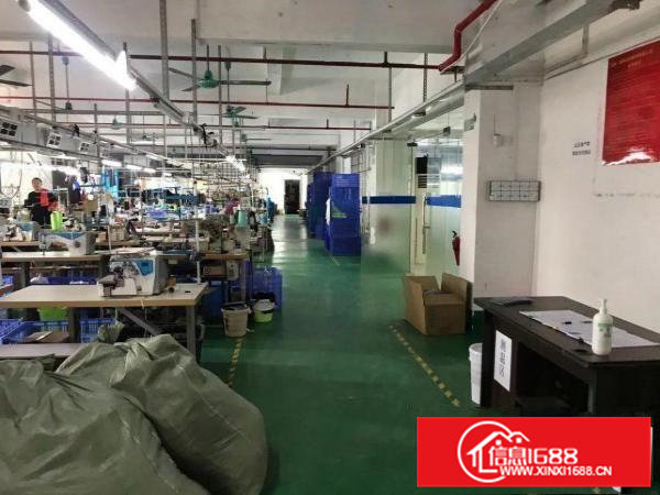 原房东独门独院26840平方