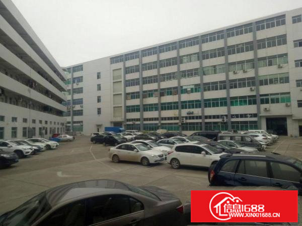 官井头工业区新出豪华装修2400平米低价出租可分租