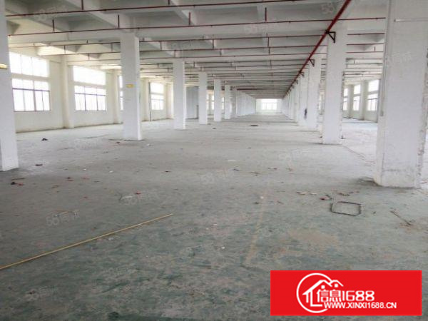 佛山顺德区北滘镇新出原房东标准独门独院厂房2600方