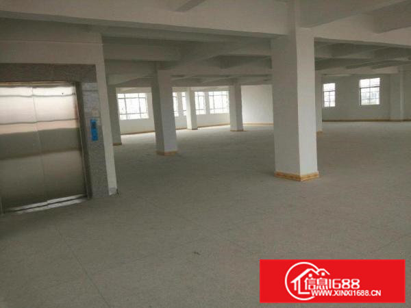 东坑坑美厂房2400平米可分租