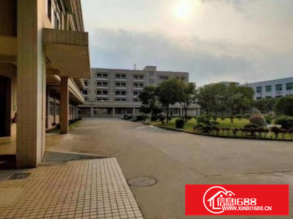 东坑镇原房东红本独院厂房4万方出租灵活分租大马路边