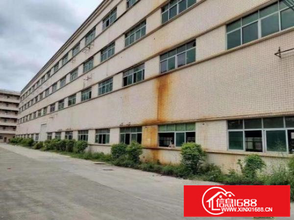 新出来独门独院空地大