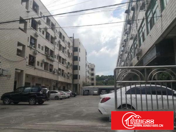虎门东风社区新出厂房，水电齐全，现成办公室精装修