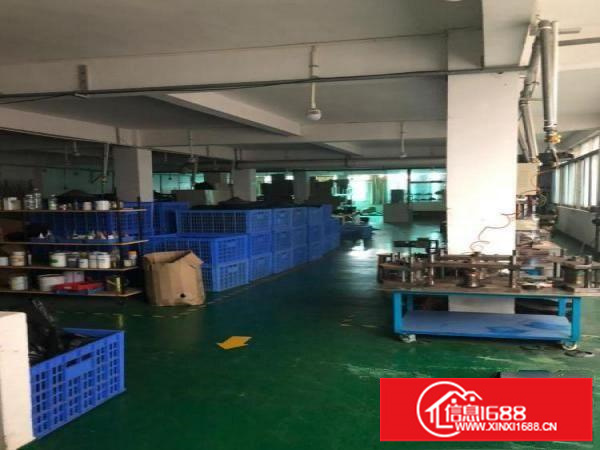 塘头出租600平米厂房，零公摊无其他费用