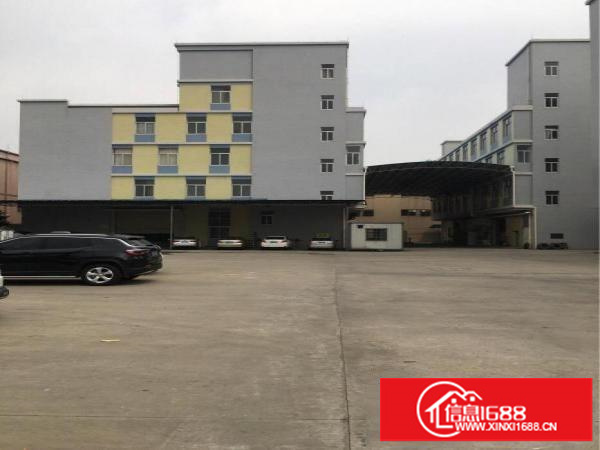 楼上800平方米办公、贸易厂房出租