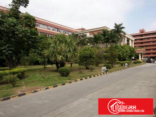 塘厦科苑城新出标准一楼1000平米厂房出租