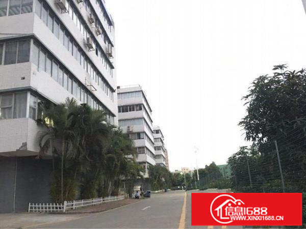 坂田新出一楼带装修2000平米厂房出租