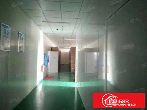 雁田新出1300平精装修厂房出租水电齐全