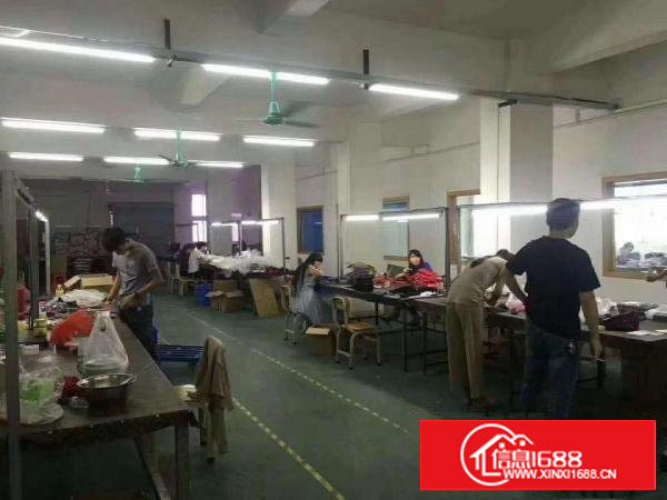 塘厦石马市场附近电子手袋组装厂房出租500平水电齐全