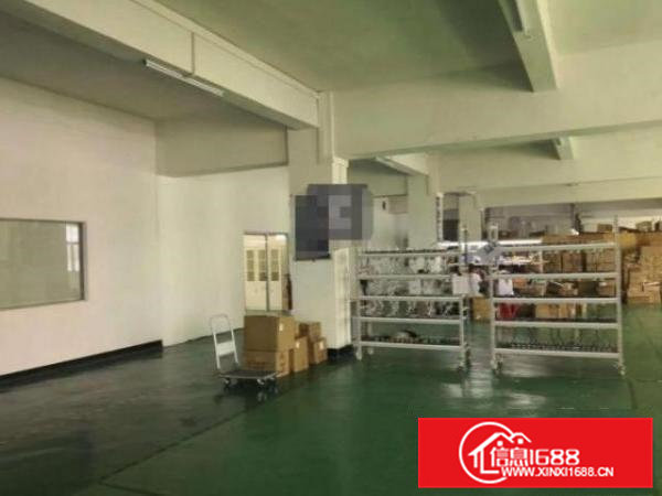 塘沥一楼标准厂房精装修分租300~600平，无公摊