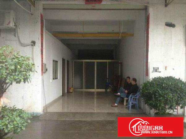 常平司马新出一楼1500平米厂房招租