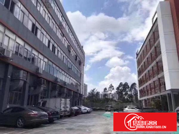 坂田独门独院厂房13000平方可分租