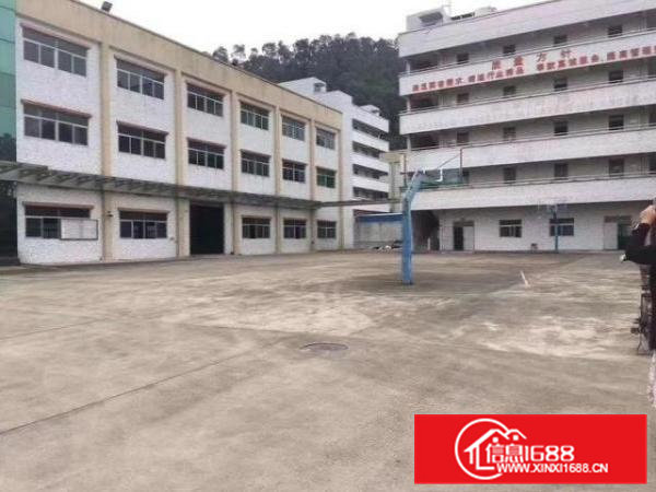 6米高标准一楼1500平米出租凤岗竹塘工业园现成水电办公