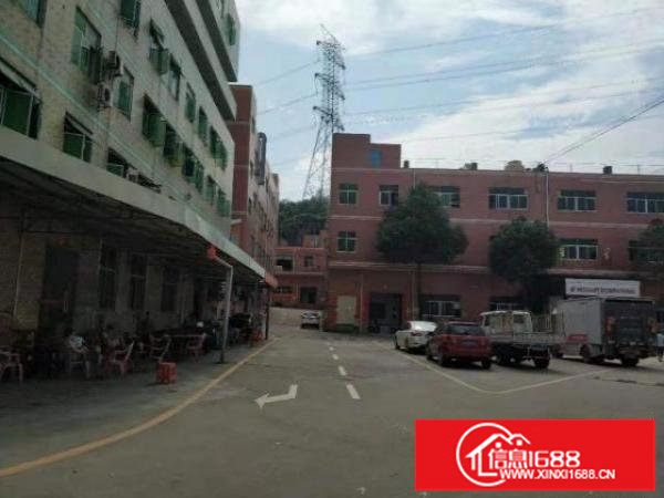 荷坳工业区一楼1200平原房东无公摊，非常适合仓库厂房