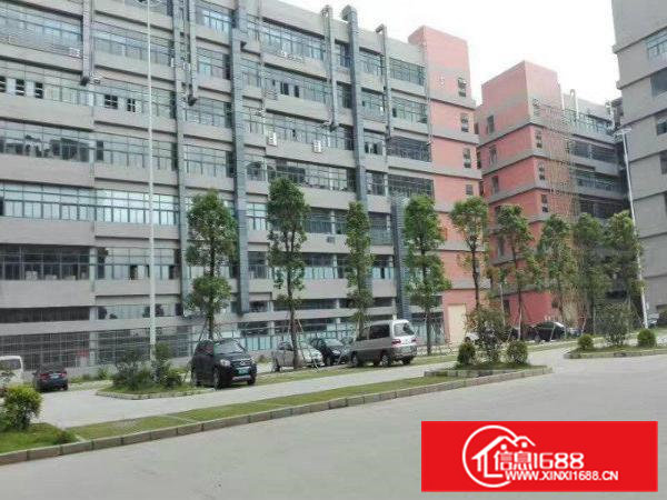 可租任意楼层）凤岗带装修2000平米全新厂房出租