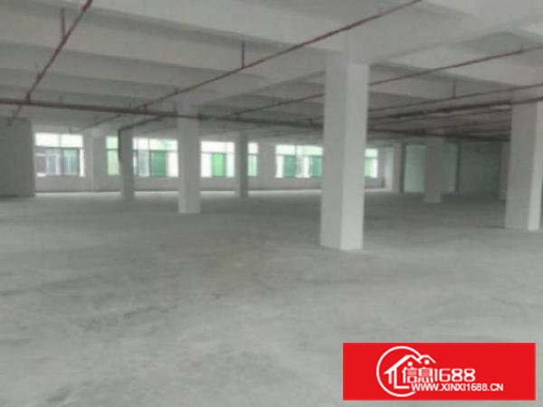 高埗工业园精装修办公楼900平方招租