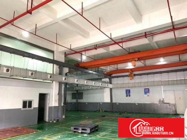 宝莲村1楼600平带办公室，原房东，可办环评