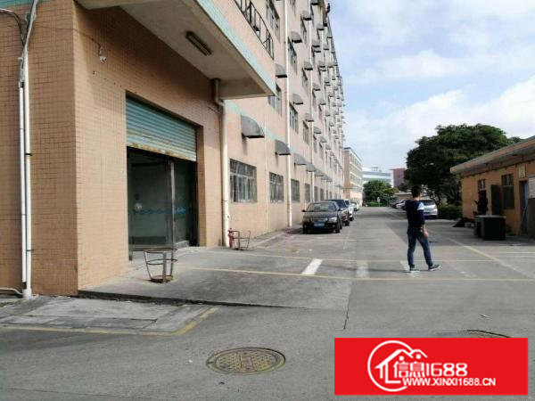 布吉丹竹头独院厂房楼上3400平，5部3顿货梯可大小分租