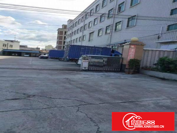 沥林独门独院四层厂房招租有国土有消防水电齐全