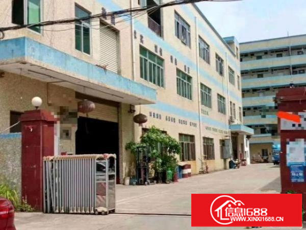 松岗松福大道边独门独院3层厂房家铁皮5000平米出租