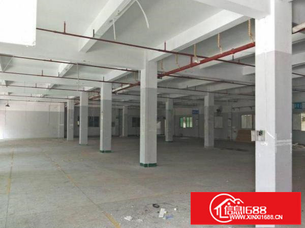 出租龙岗区坪地一楼厂房1000平方