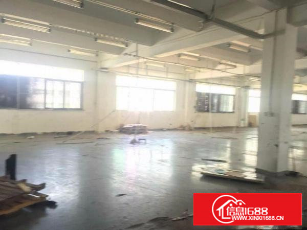 田心村：原房东！4.5米高1000平方米标准2楼厂房！临四村