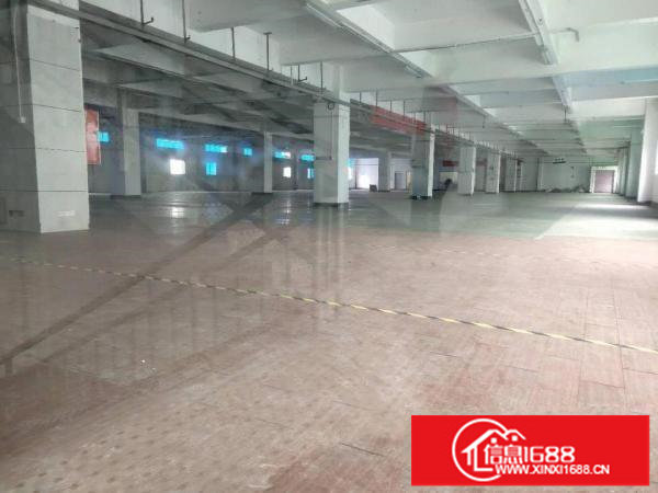 出租龙岗区横岗大型仓库可分租