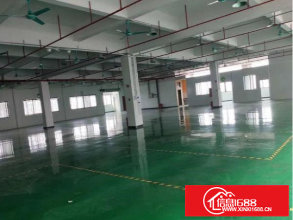 大岭山豪华装修标准厂房二楼楼1000平出租，价格美丽