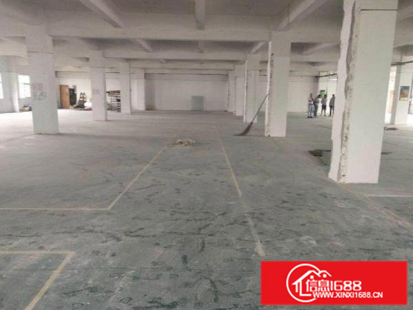 草墩村新出一楼2000平方大小可分400，带精装修办公室