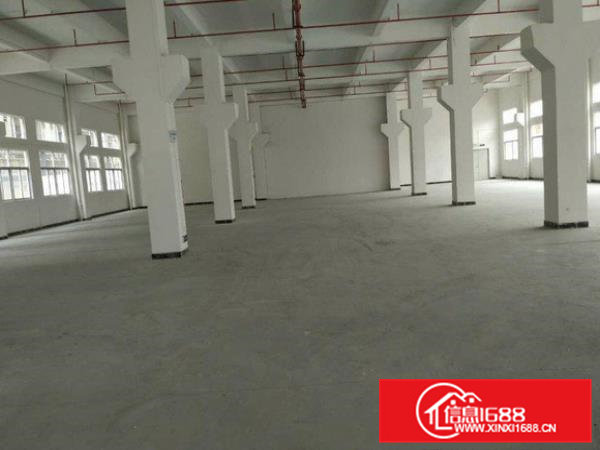 横沥隔坑新空出一楼900平方厂房出租现成水电