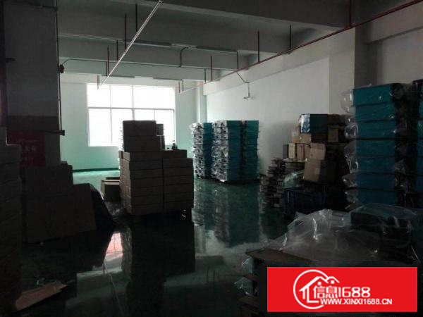 精装修刷地坪漆厂房出租凤岗金凤凰楼上1600平