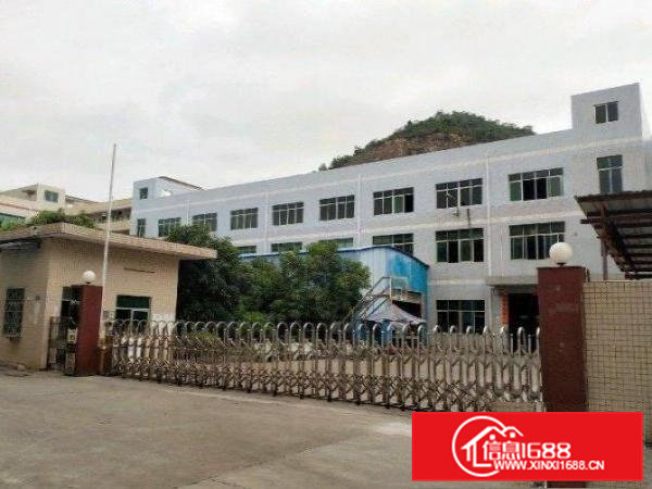 清溪镇长山头村高速路口1000平精装修办公室标准厂房出租