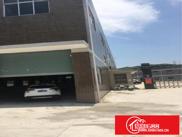 惠阳新墟独栋钢构厂房