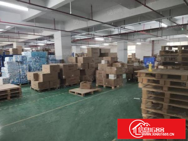 大浪原房东工业园厂房出租一楼厂房2300平可分租300平起租