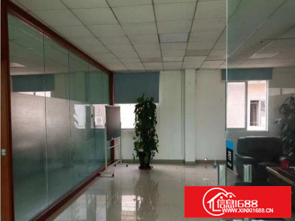 坪山坑梓比亚迪附近新出1000平现成精装修厂房