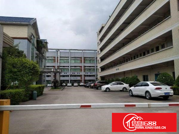 出租龙岗区五联新出原房东标准厂房3楼重工业厂房600平价格便