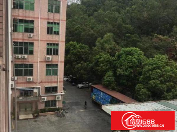 业主六约大型工业园200至1680平方厂房分租