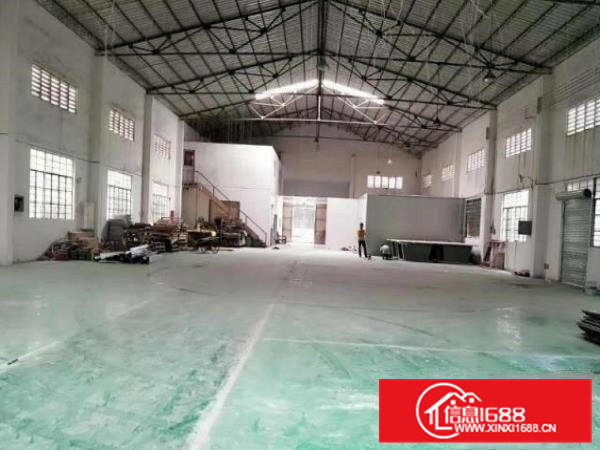 厚大路新出单一层钢构1000平厂房出租，面积实量，价格实在！