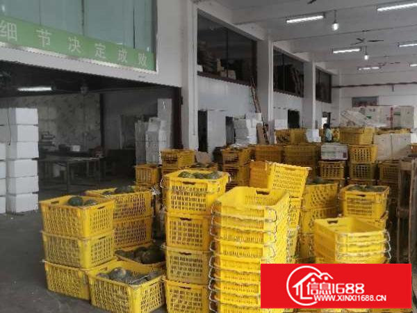 华南城附近独栋2300平方做冻库配送有装修