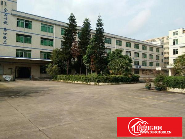 沥林泮沥村金达伟一楼标准厂房带装修700平招租