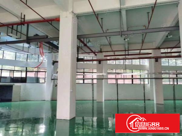 茶山镇高大尚工业区厂房标准楼房一楼1500平带地坪漆