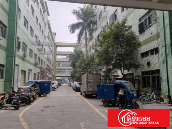 龙岗标准厂房二楼950平可办环评可分租，交通方便