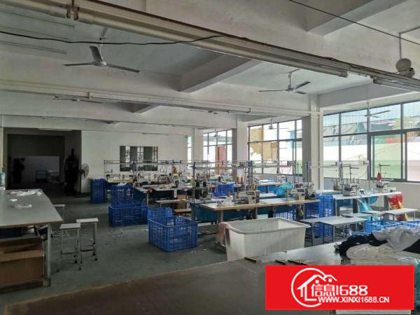 虎门龙眼标准厂房5楼400平出租精装修水电齐全